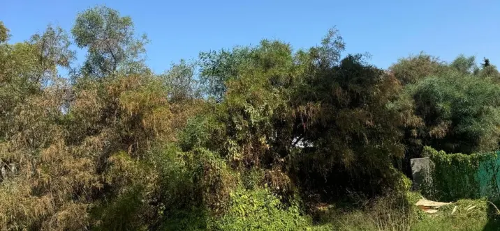 Venta de parcela residencial en Atalaya 2