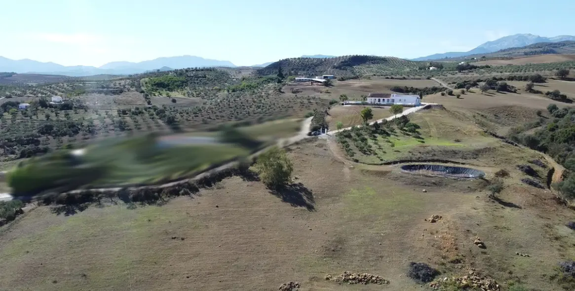 Venta de finca - cortijo en Casarabonela 33