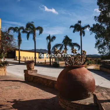 Venta de finca - cortijo en Entrerrios