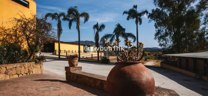 Venta de finca - cortijo en Entrerrios 1