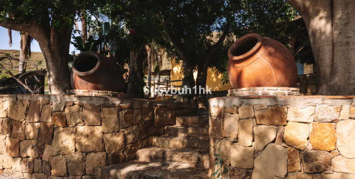 Venta de finca - cortijo en Entrerrios 3