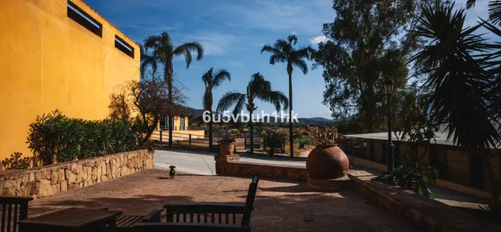 Venta de finca - cortijo en Entrerrios 4