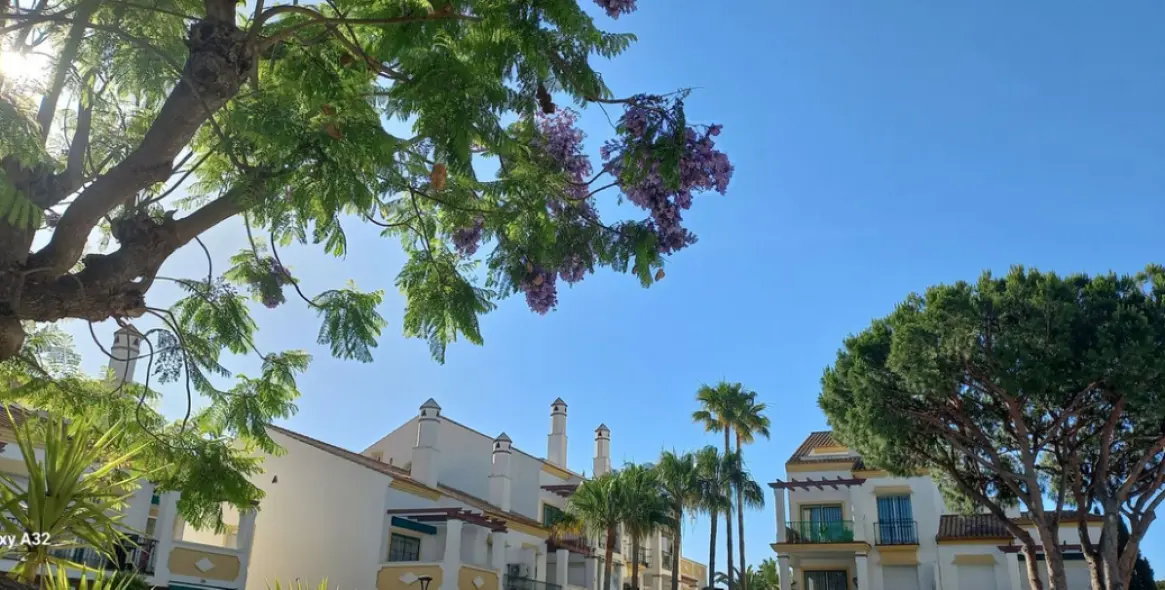 Sale of penthouse duplex in Marbesa 29