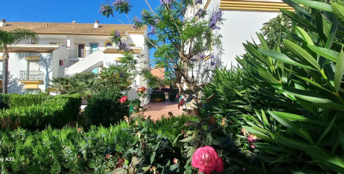 Sale of penthouse duplex in Marbesa 30