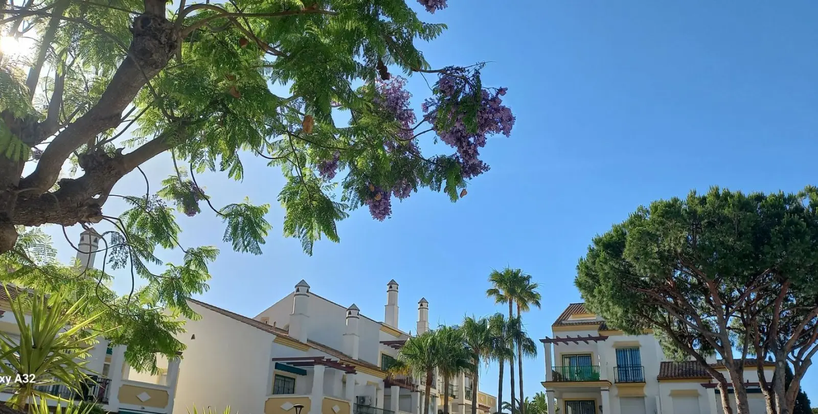 Sale of penthouse duplex in Marbesa 29