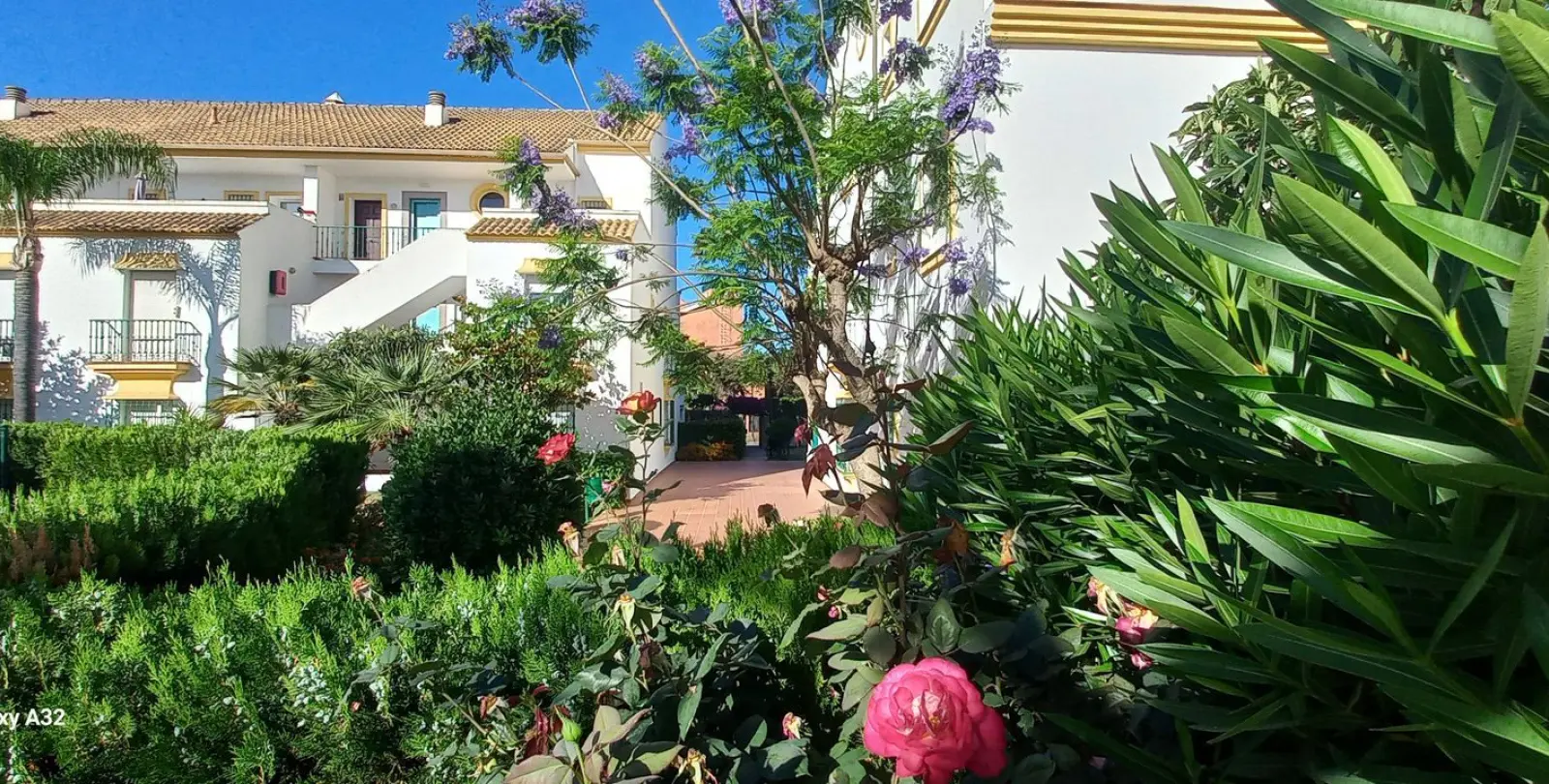 Sale of penthouse duplex in Marbesa 30