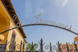 Image 6 thumb