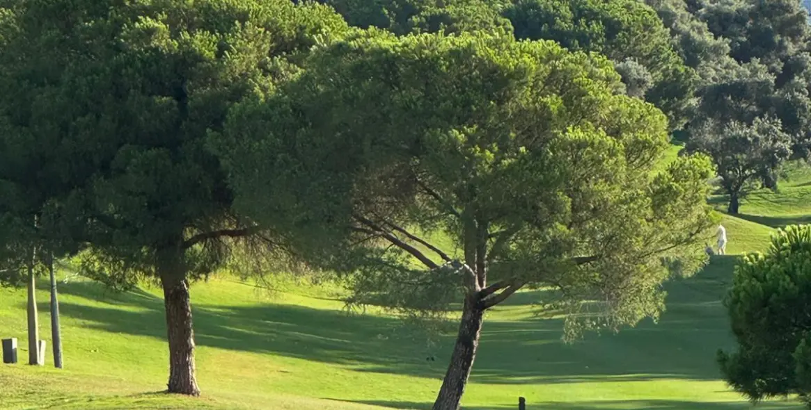 Venta de villa independiente en La Quinta 2