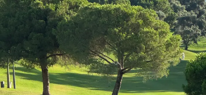 Venta de villa independiente en La Quinta 1