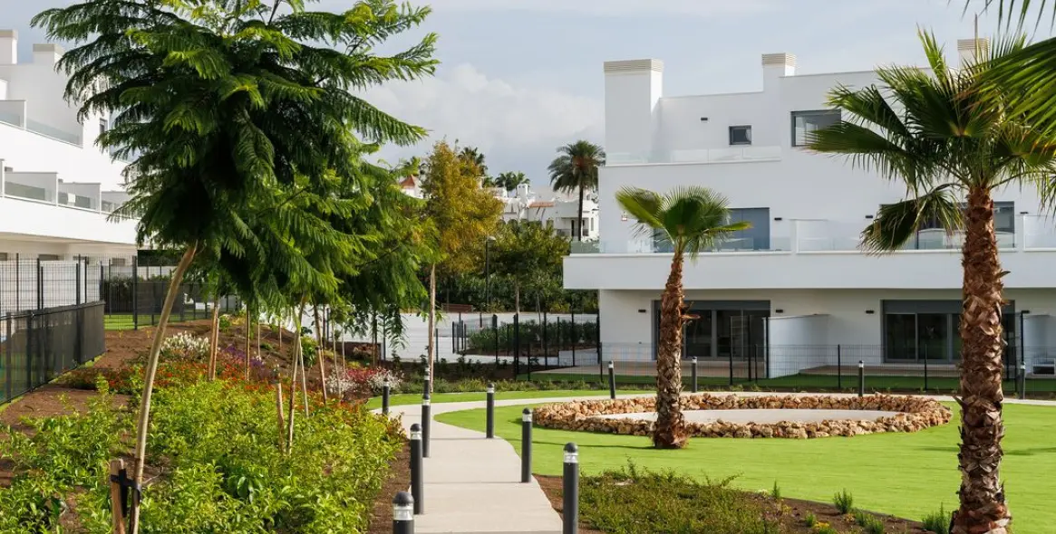 Sale of middle floor apartment in Cancelada 20