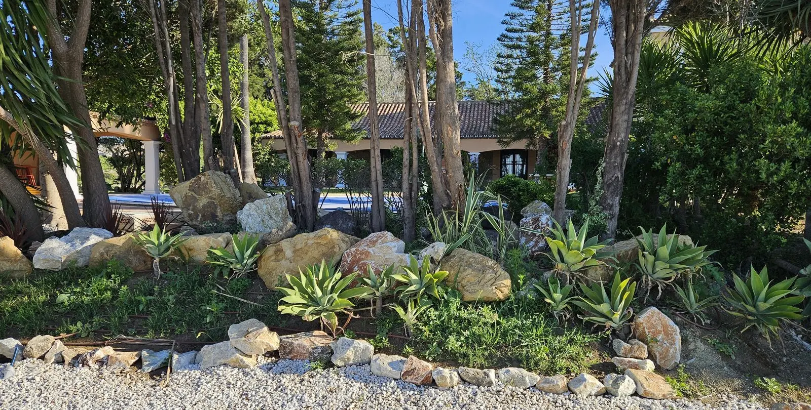 Venta de finca - cortijo en Manilva 22