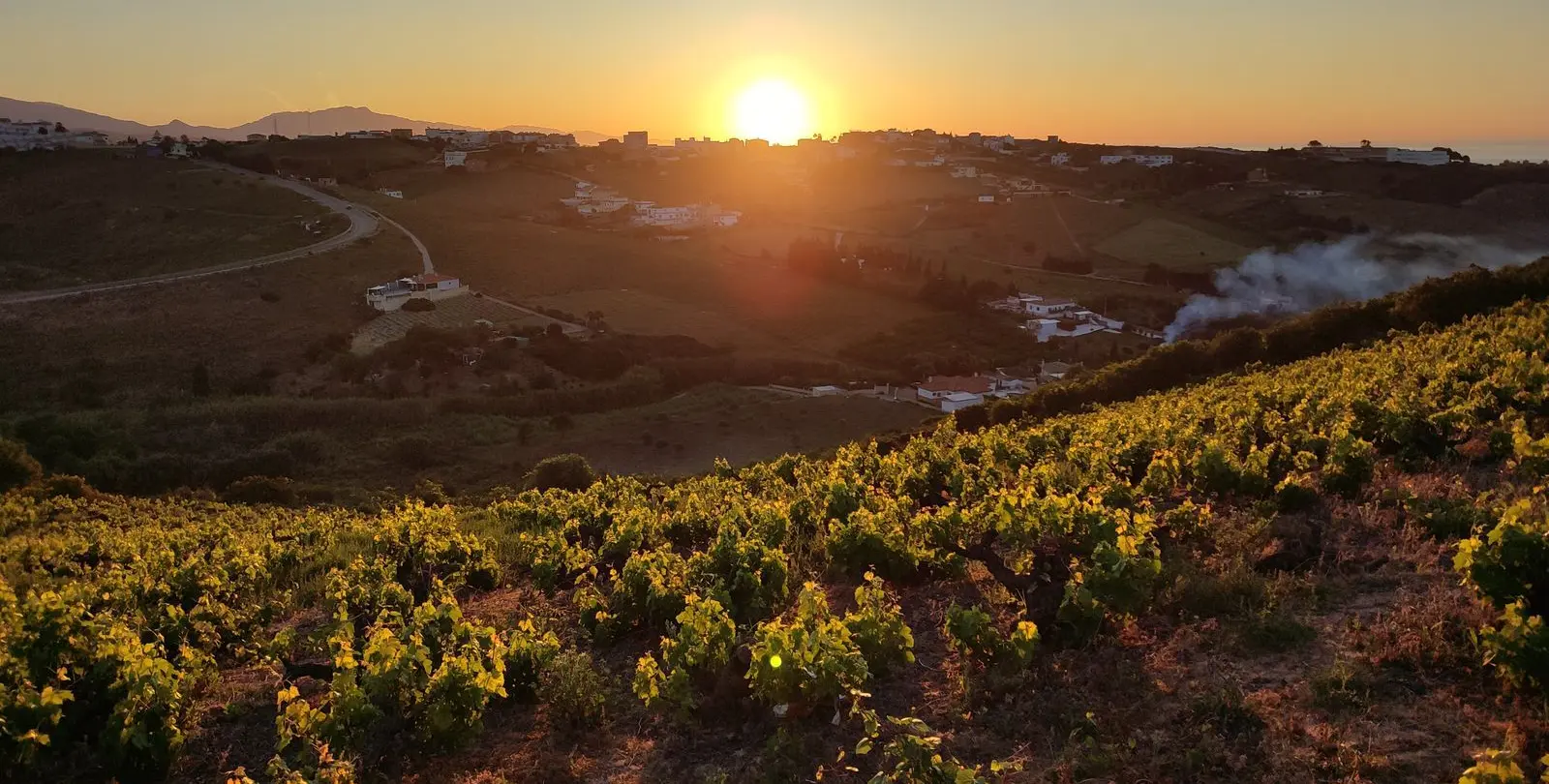 Venta de finca - cortijo en Manilva 26