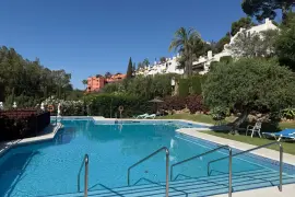 Image 38 thumb