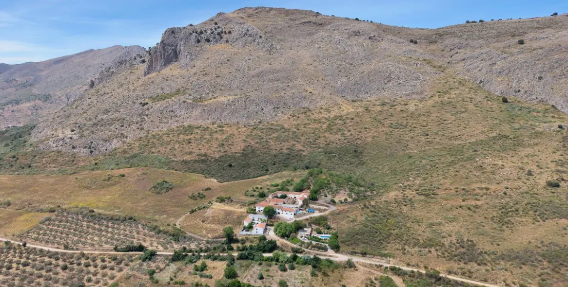 Продажа финки в Periana 2
