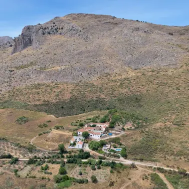 Продажа финки в Periana