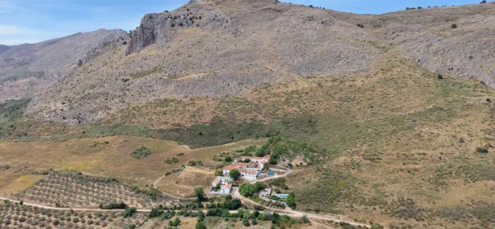Продажа финки в Periana 1