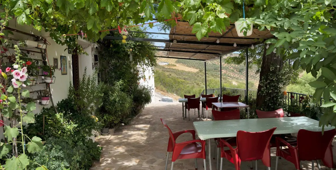 Продажа финки в Periana 6