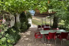 Image 6 thumb