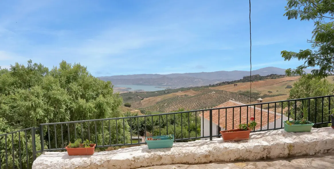 Продажа финки в Periana 27
