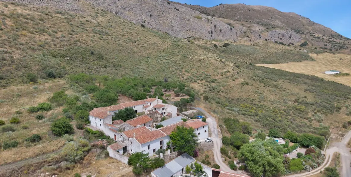 Продажа финки в Periana 98