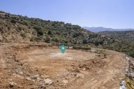 Image 4 thumb