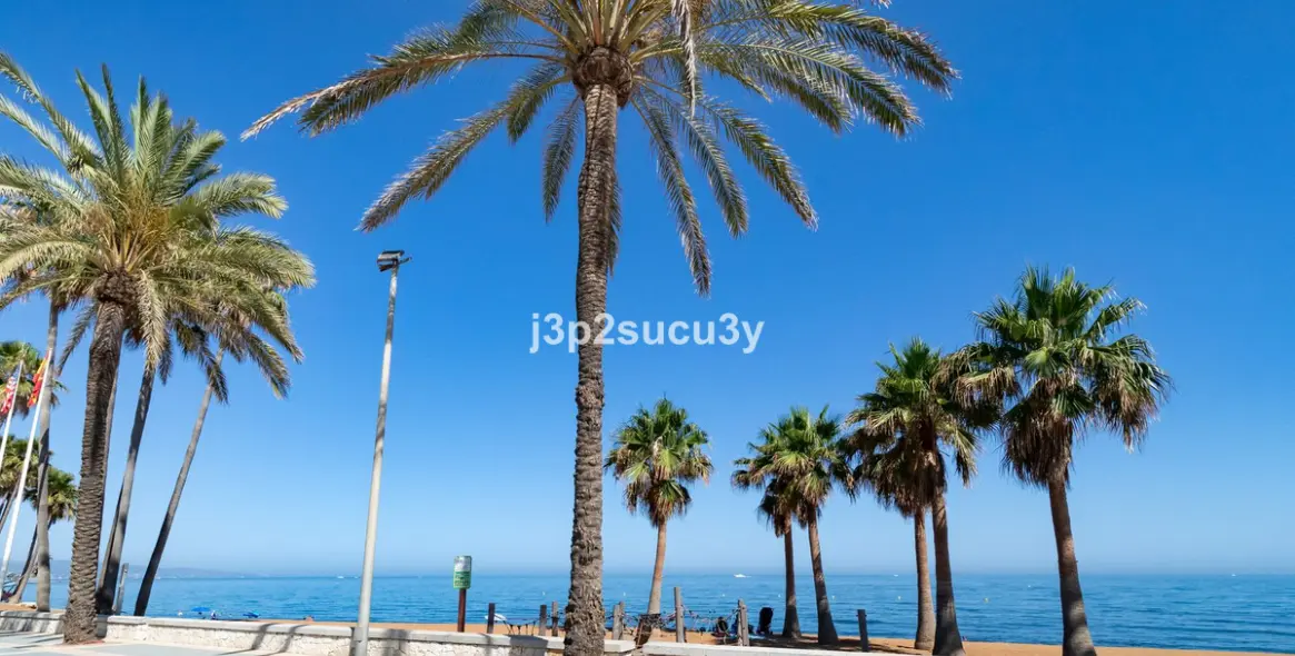 Short-term rent of ground floor apartment in San Pedro de Alcántara 40