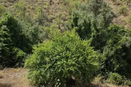 Image 12 thumb