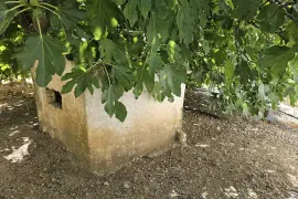 Image 14 thumb
