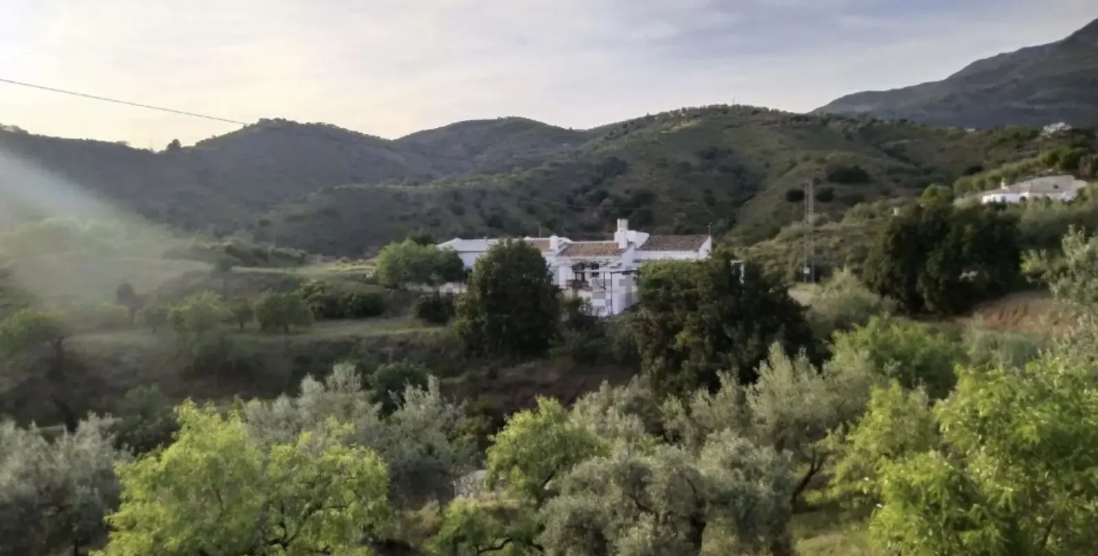 Venta de finca - cortijo en Sedella 1