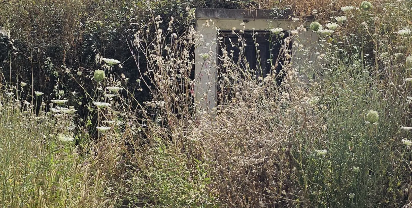 Venta de finca - cortijo en Sedella 11
