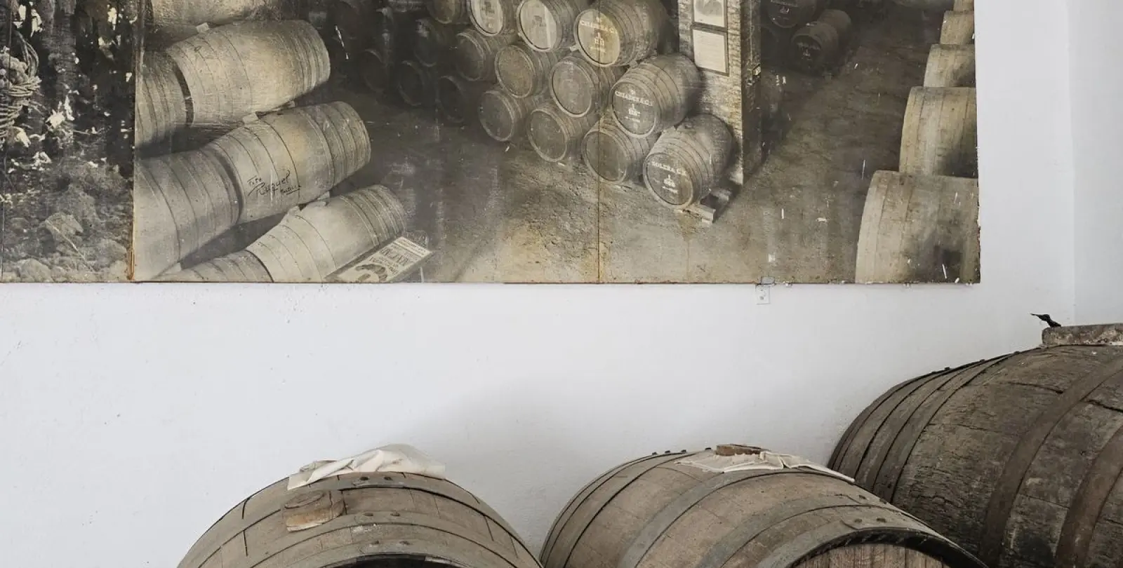 Venta de finca - cortijo en Sedella 23