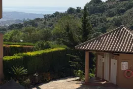 Image 4 thumb