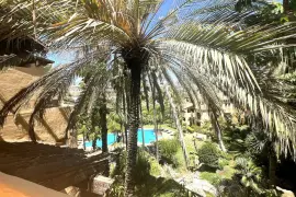 Image 8 thumb
