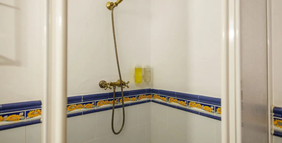 Sale of bed & breakfast in Villanueva de Tapia 54