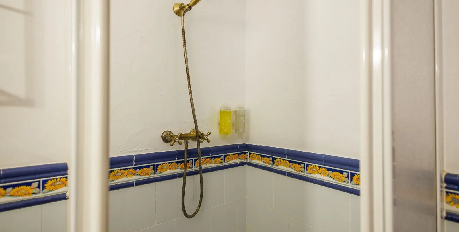 Sale of bed & breakfast in Villanueva de Tapia 46