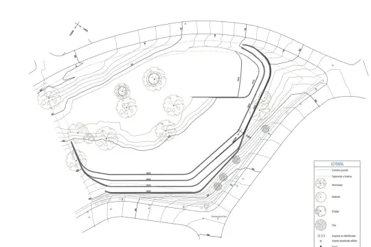 Image 10 thumb