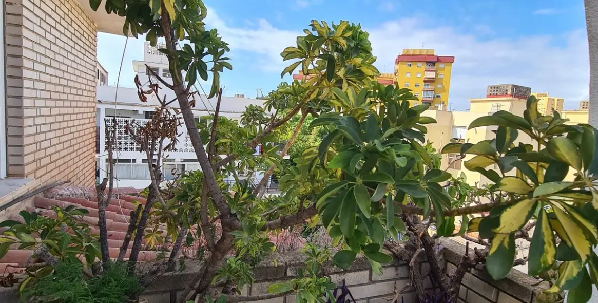Alquiler a largo plazo de ático en Fuengirola 28