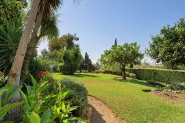 Image 8 thumb