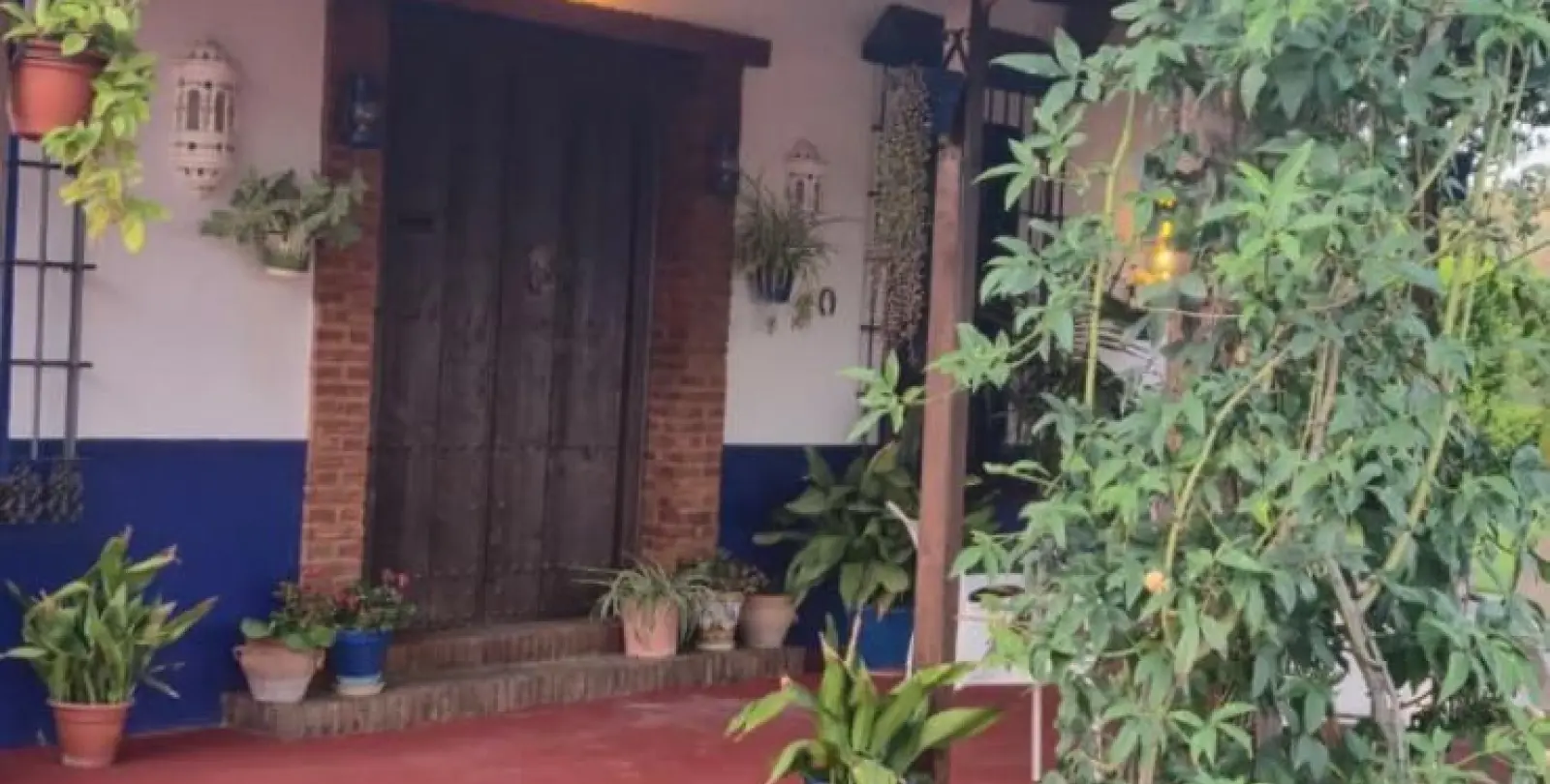 Venta de finca - cortijo en Cártama 18