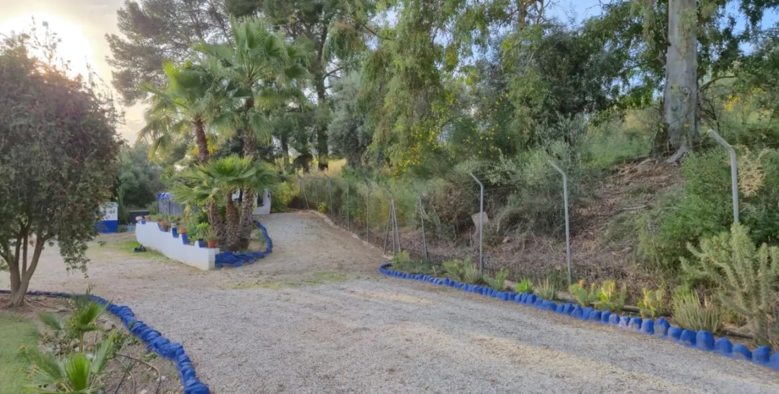 Venta de finca - cortijo en Cártama 21