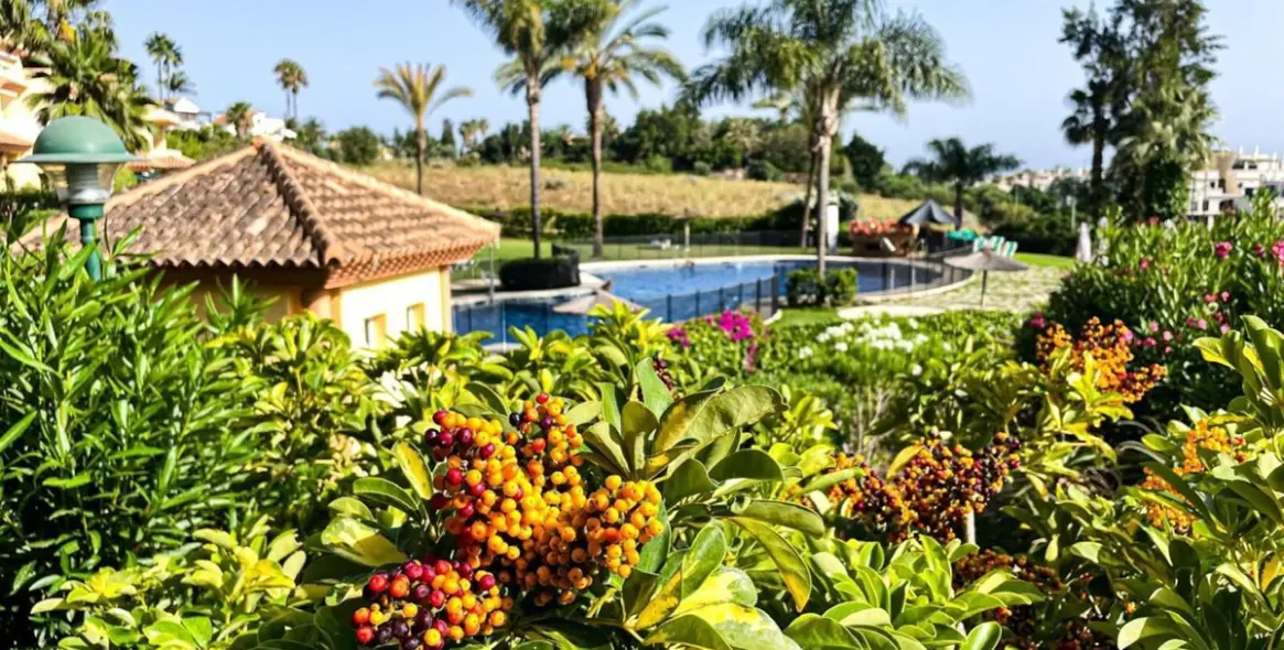 Long-term rent of ground floor apartment in Nueva Andalucía 28