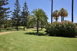 Image 5 thumb