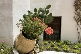 Image 8 thumb