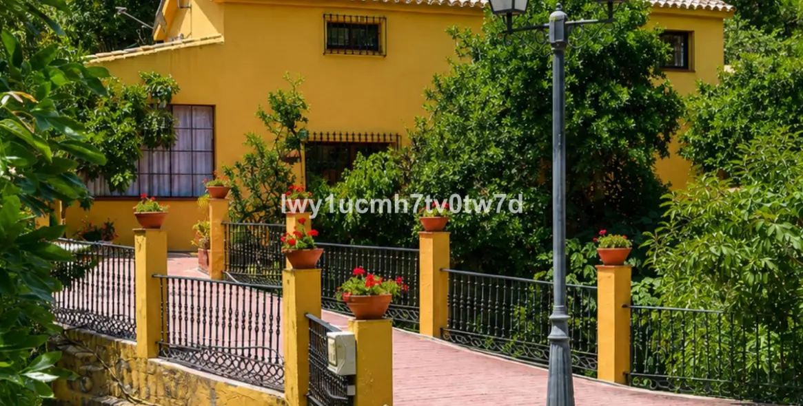 Sale of detached villa in Ojén 1