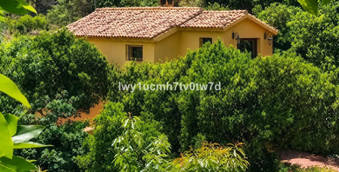 Sale of detached villa in Ojén 9