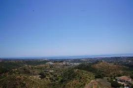 Image 4 thumb