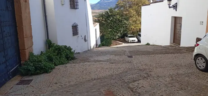 Продажа таунхауса в Ronda 0
