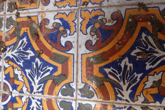 Image 9 thumb