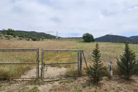 Image 32 thumb