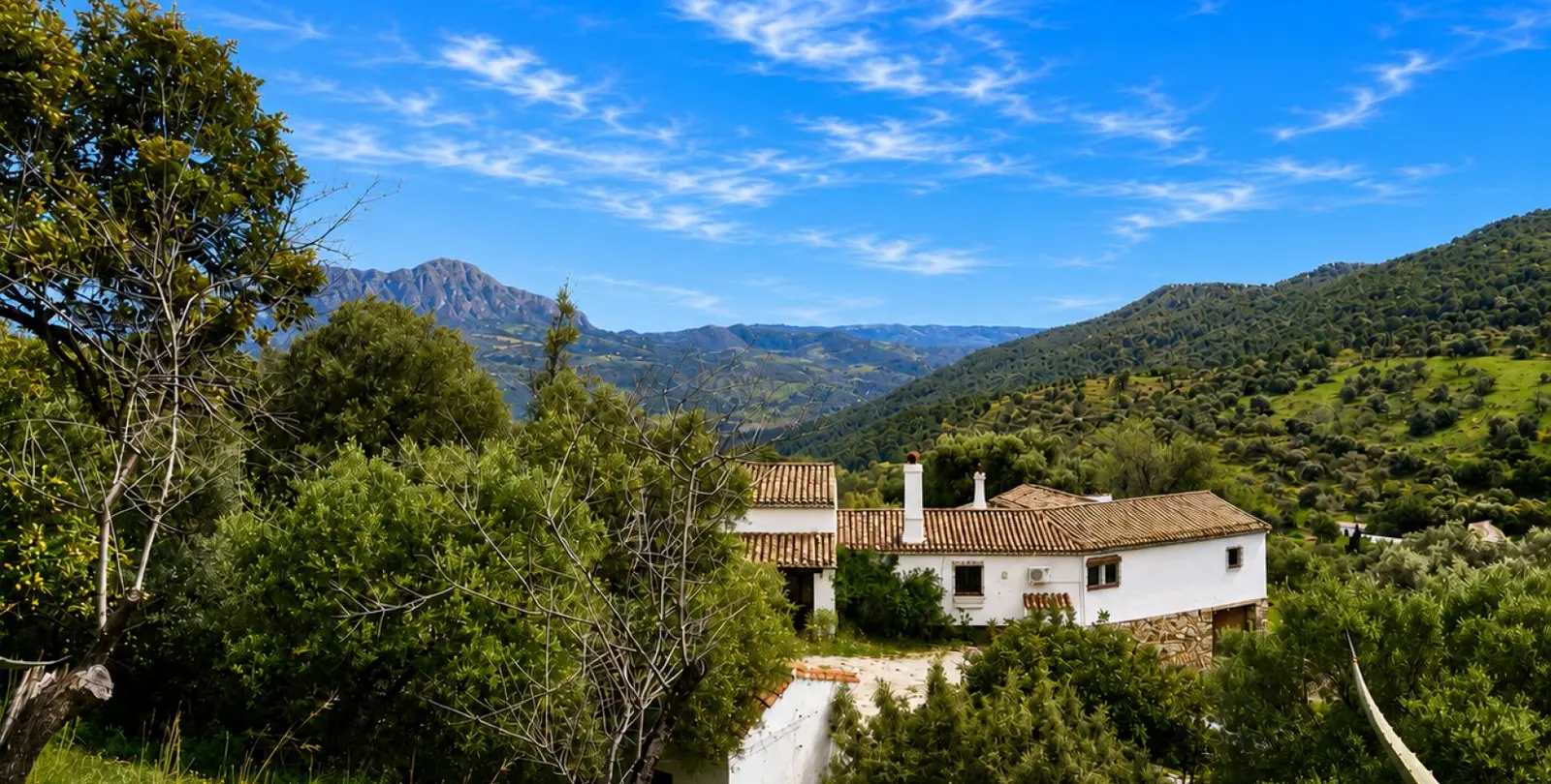Venta de finca - cortijo en Gaucín 1